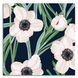 Zidni ukras Anemoni bianchi, &Scaron;arena, 50 cm x 50 cm