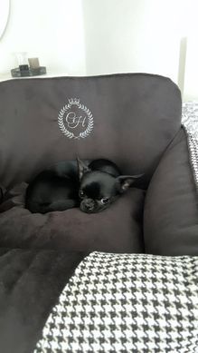 Avtosedež Porto Black, Črno-bela, S/M