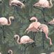 Tapeta Essentials Flamingo, Zelena-roza, Kolekcija Essentials