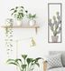 Zidni ukras Cactus Frame -A-, Zelena