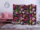 Paravan - Colorful Exotic II, Večbarvna, Enostranski