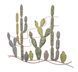 Stenska dekoracija Cactus -B-, Večbarvna