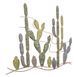 Stenska dekoracija Cactus -B-, Večbarvna