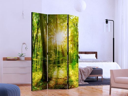 Paravan - Forest Rays, Zelena, Enostranski
