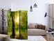 Paravan - Forest Rays, Zelena, Enostranski