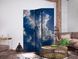 Paravan - Starry Clouds and Gentle Light Over a Corner of the Sky, Tamno plava, Jednostrani