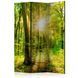 Paravan - Forest Rays, Zelena, Enostranski