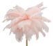 Namizna svetilka Palm Pink, Roza