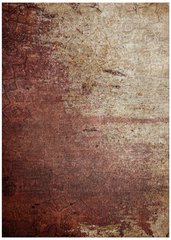 Teppich Concours Bazman Burgundy, 120x170 cm