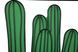 Zidni ukras Cactus, &Scaron;arena