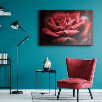 Stenska dekoracija Rosa in rosso, Rdeča, 70 cm x 100 cm