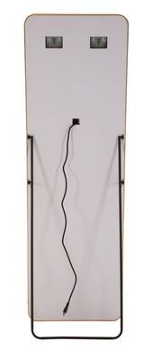 Stojeće ogledalo LED Simple Rectangular, Zlatna, Pravokutni