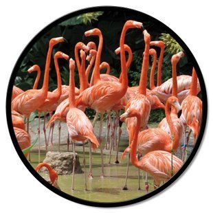 Zidni ukras Flamingo, &Scaron;arena, promjer - 60 cm