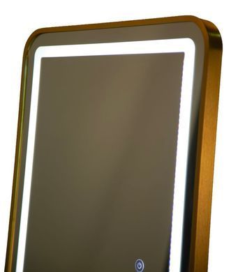 Stojeće ogledalo LED Simple Rectangular, Zlatna, Pravokutni