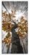 Stenska dekoracija Albero, Večbarvna, 40 cm x 80 cm